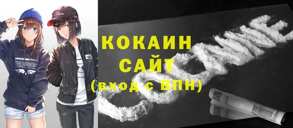 гашик Осинники