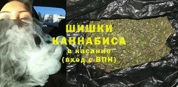 гашик Осинники