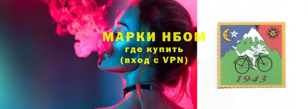 гашик Осинники