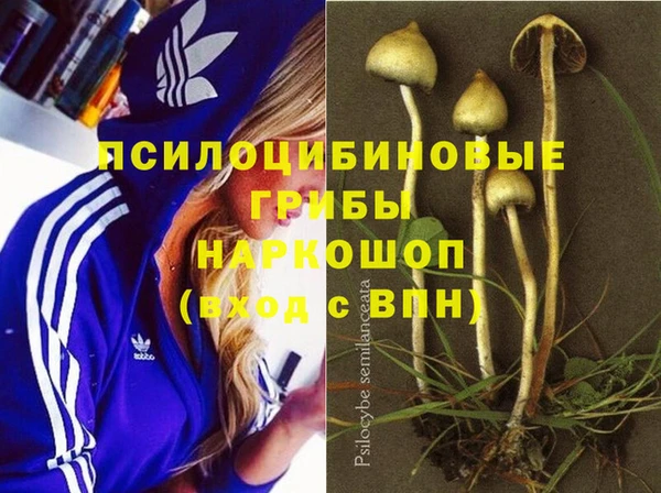 амф Белая Холуница