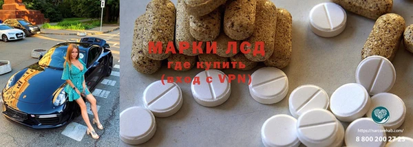 гашик Осинники