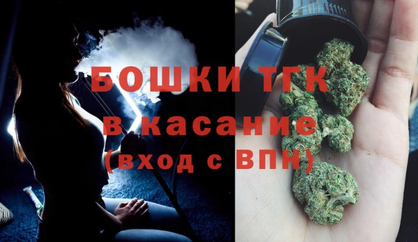 гашик Осинники
