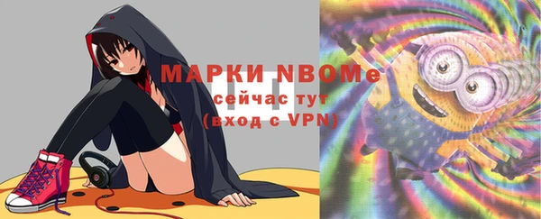 гашик Осинники