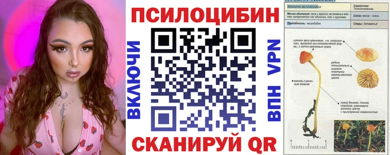 Псилоцибиновые грибы Cubensis  Агидель 